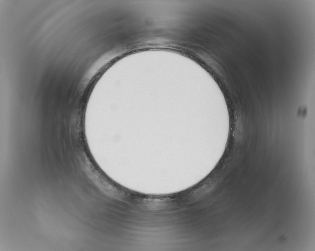 X0000111181458200908121059