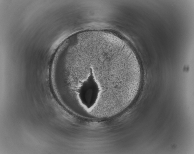 X0000111181459200908121059