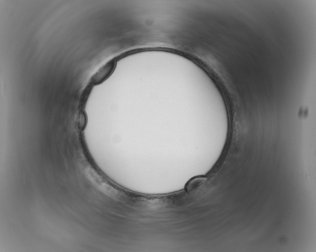 X0000111181460200908121059