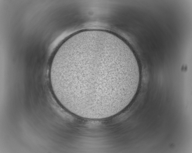 X0000111181462200908121059