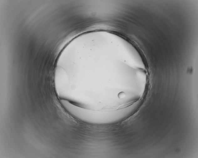 X0000111181465200908121059