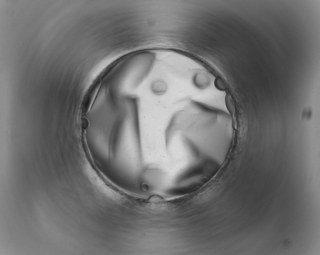 X0000111181468200908121059