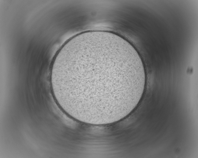 X0000111181470200908121059