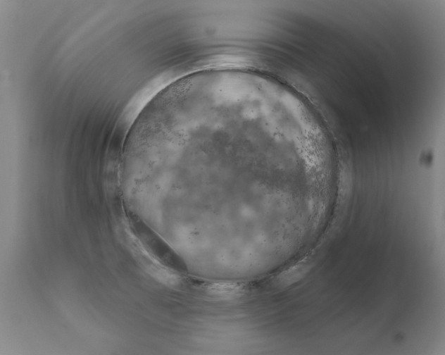 X0000111181473200908121059