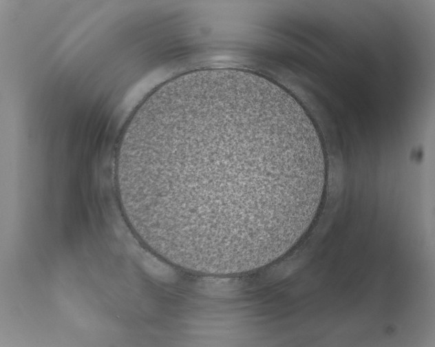 X0000111181474200908121059