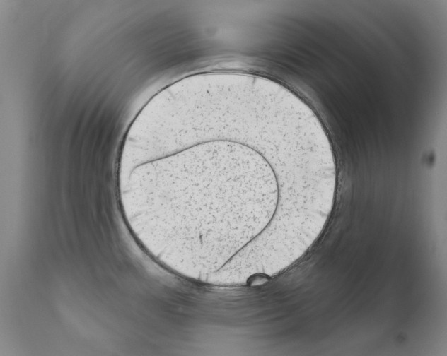 X0000111181483200908121059