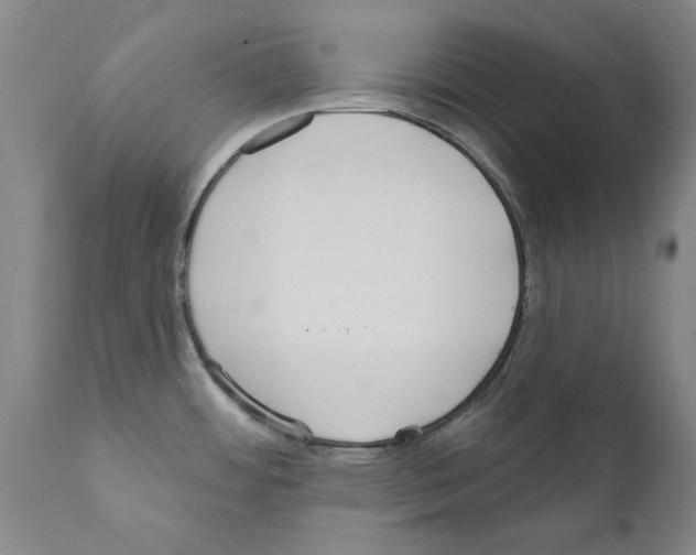 X0000111181484200908121059