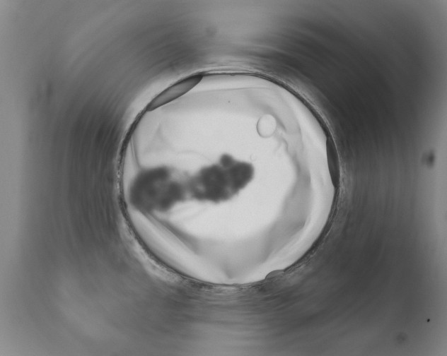 X0000111181485200908121059