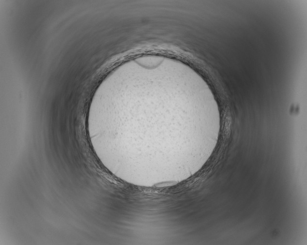 X0000111181489200908121058