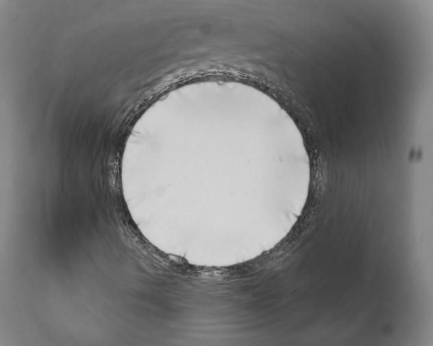 X0000111181490200908121058