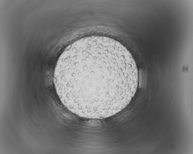 X0000111181491200908121058