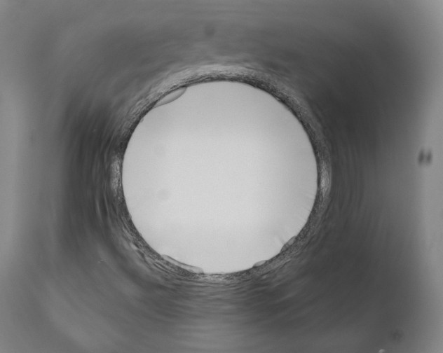 X0000111181492200908121058