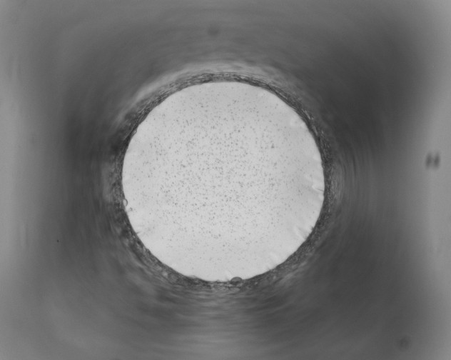 X0000111181494200908121058