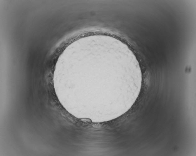 X0000111181495200908121058