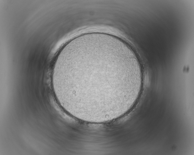 X0000111181498200908121058