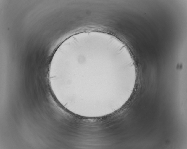 X0000111181500200908121058