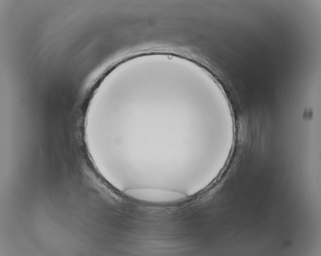 X0000111181502200908121058