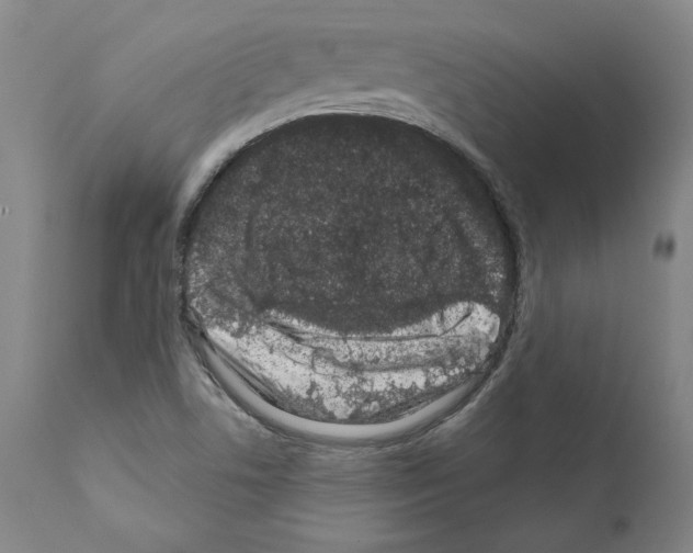 X0000111181506200908121058