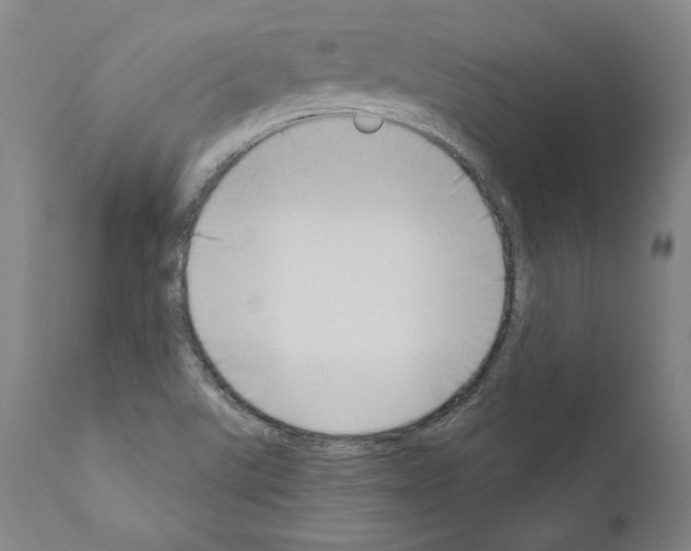 X0000111181507200908121058