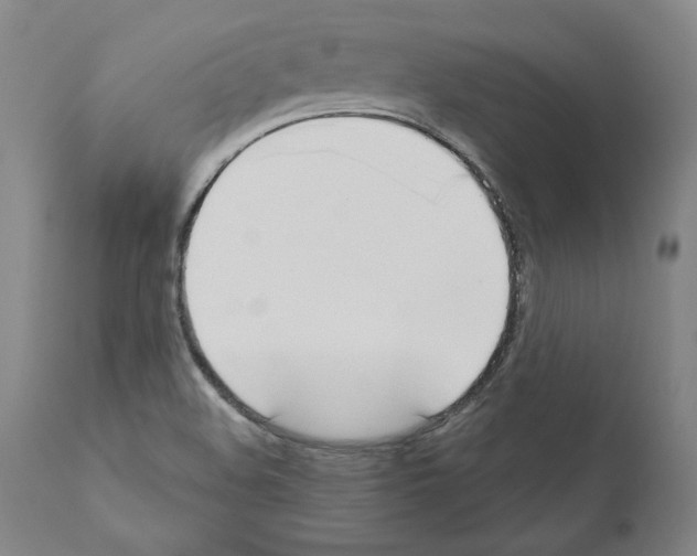 X0000111181508200908121058