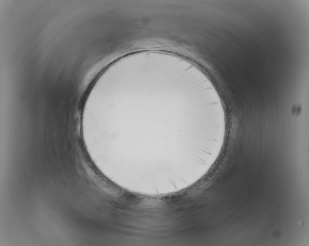 X0000111181509200908121058