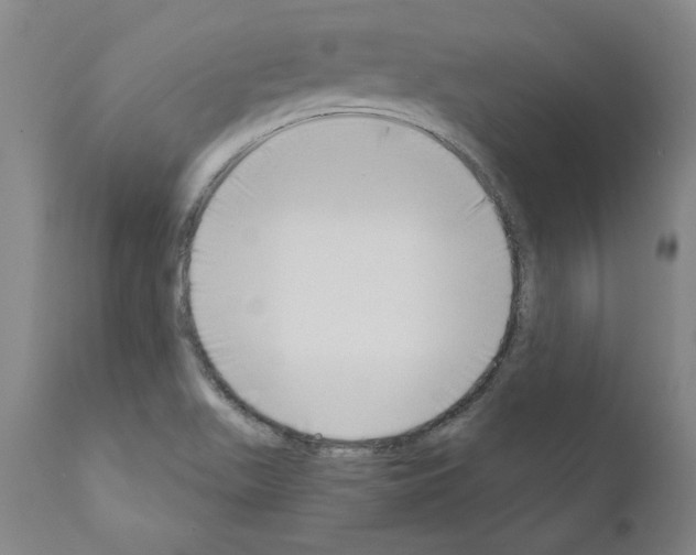 X0000111181511200908121058