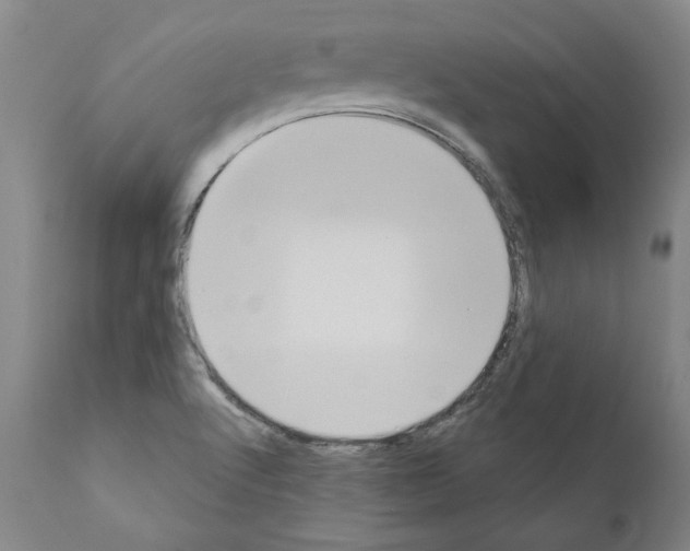 X0000111181512200908121059