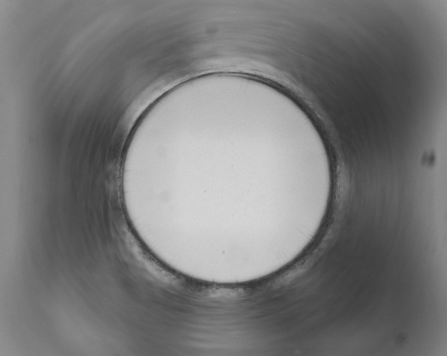 X0000111181513200908121059