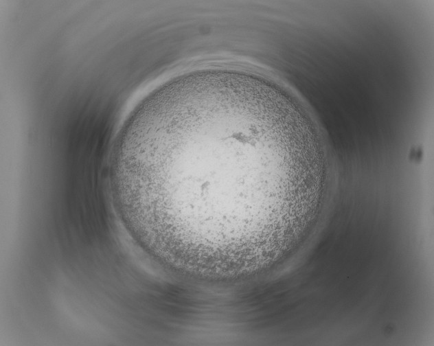 X0000111181514200908121059