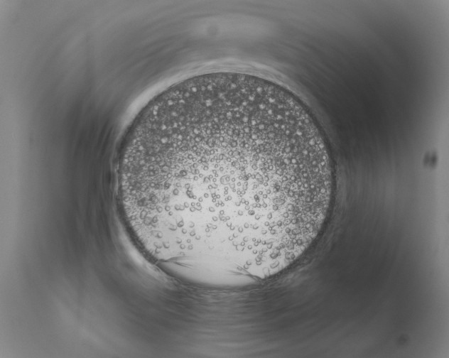 X0000111181515200908121059