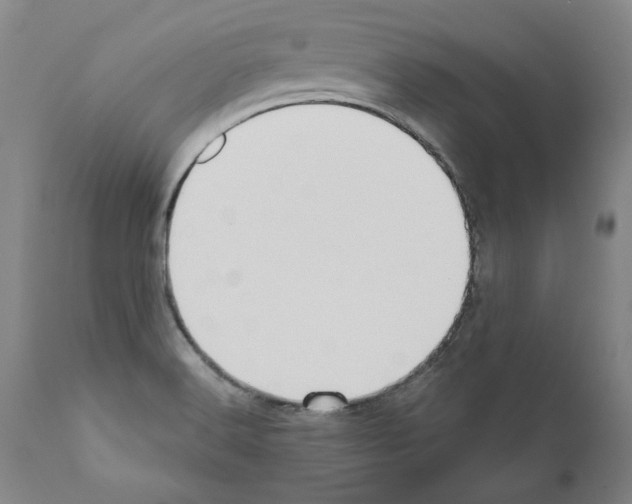 X0000111181516200908121059