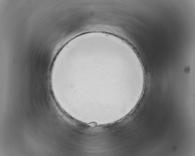 X0000111181517200908121059