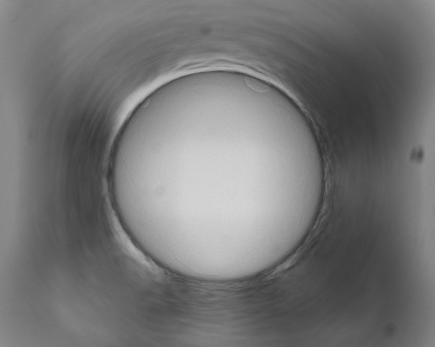 X0000111181518200908121059