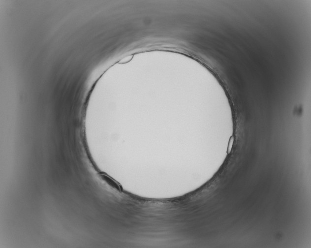 X0000111181520200908121059