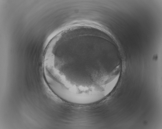 X0000111181522200908121059