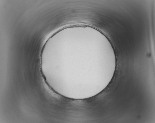 X0000111181524200908121059