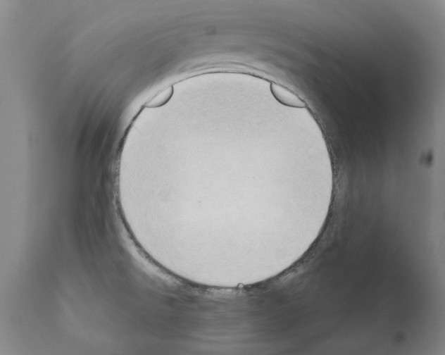 X0000111181526200908121059