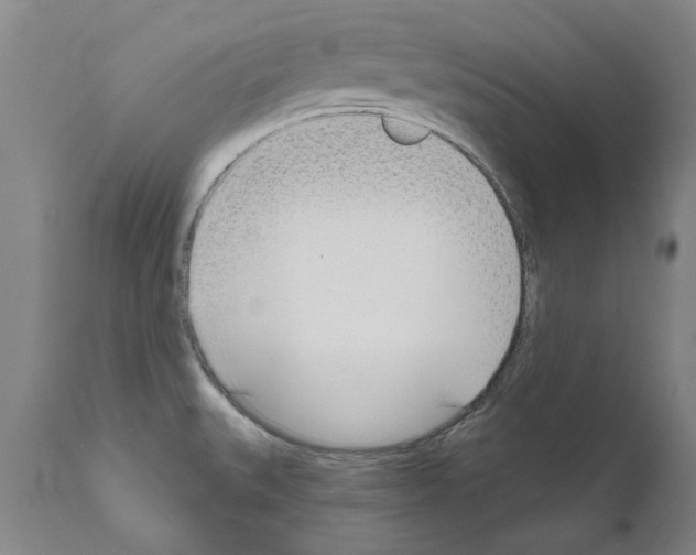 X0000111181527200908121059