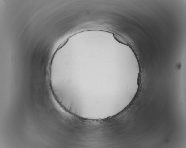 X0000111181528200908121059