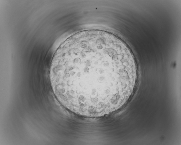 X0000111181529200908121059