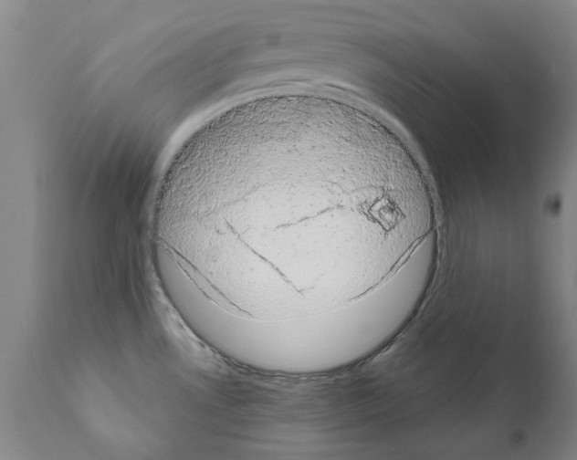 X0000111181530200908121059