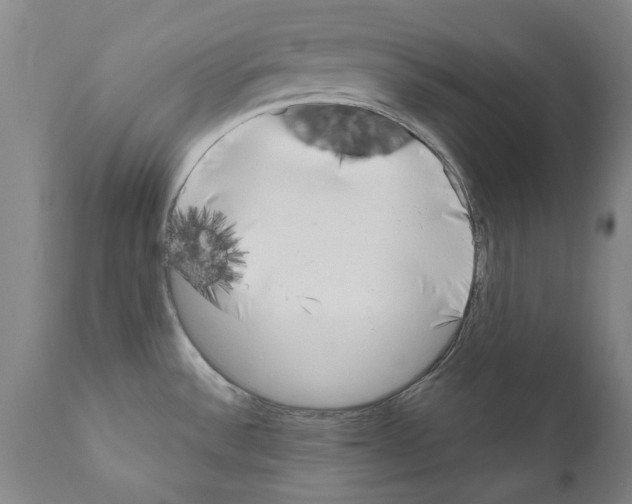 X0000111181532200908121059