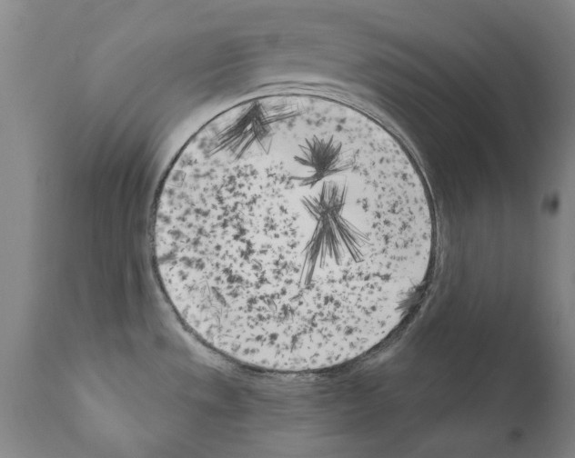 X0000111181533200908121059