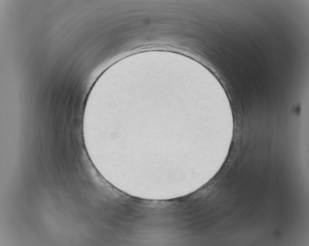 X0000111181534200908121059