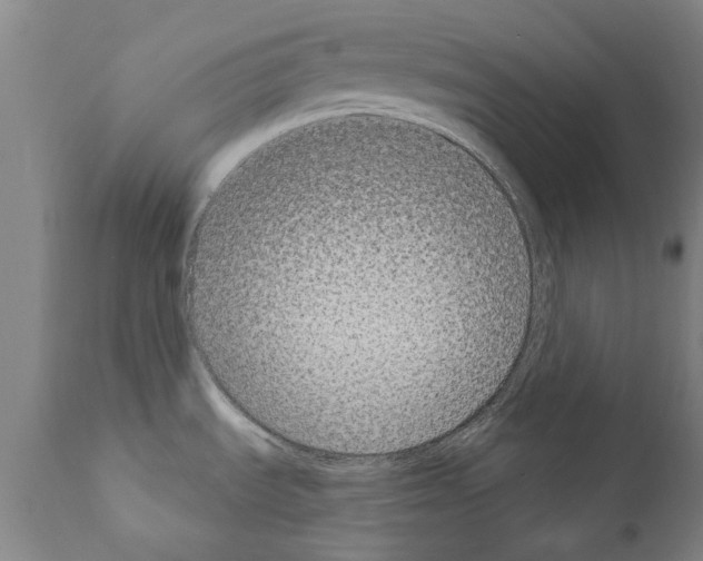 X0000111181535200908121059