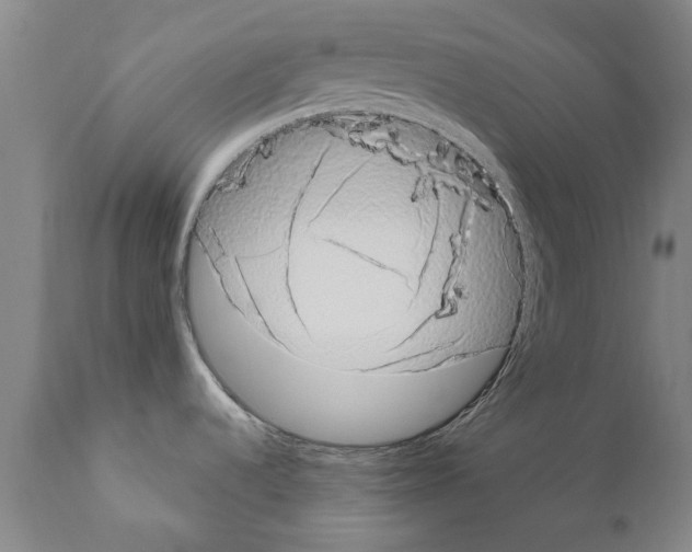 X0000111181536200908121059