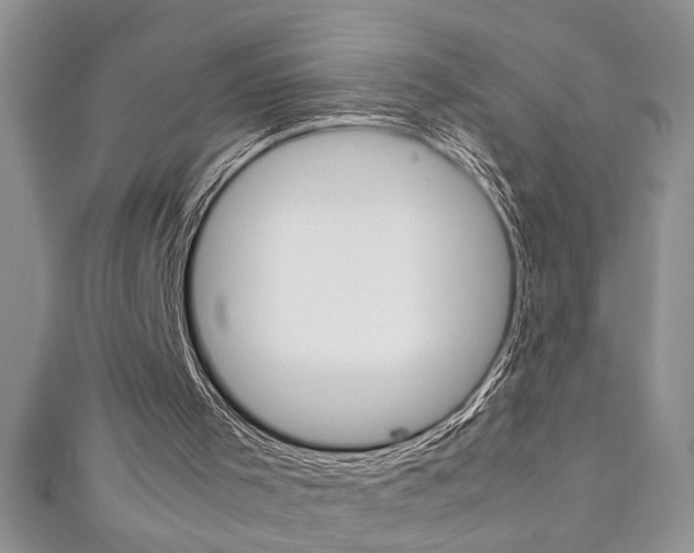 X0000111190001200907011019