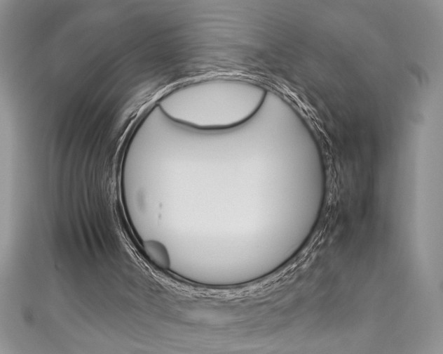 X0000111190002200907011019