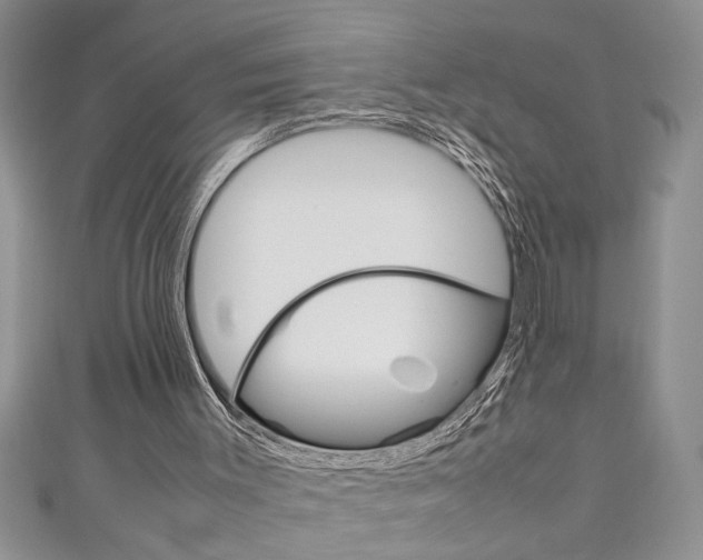 X0000111190003200907011019