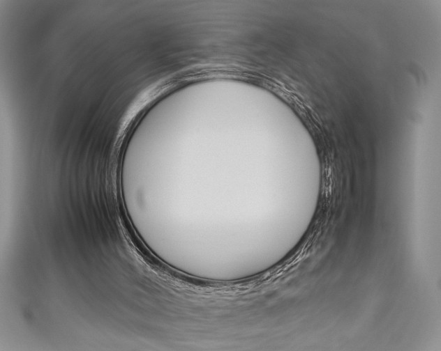 X0000111190004200907011019